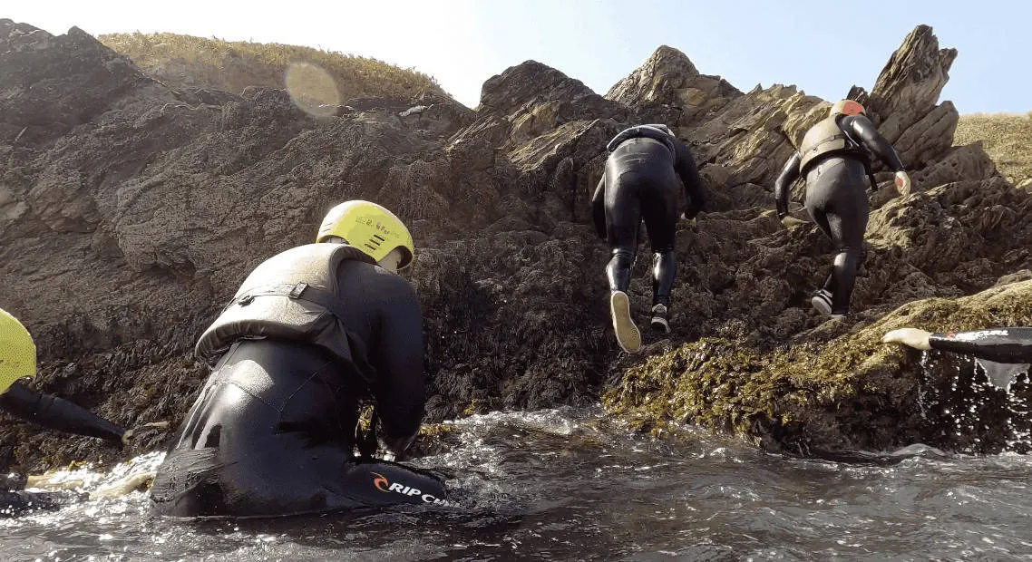 Wildlife Coasteering in Cornwall