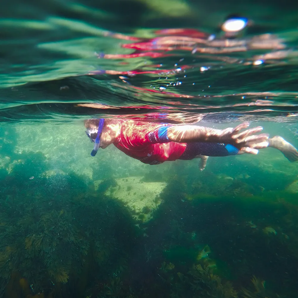 Coastal Adventures in Newquay, Cornwall