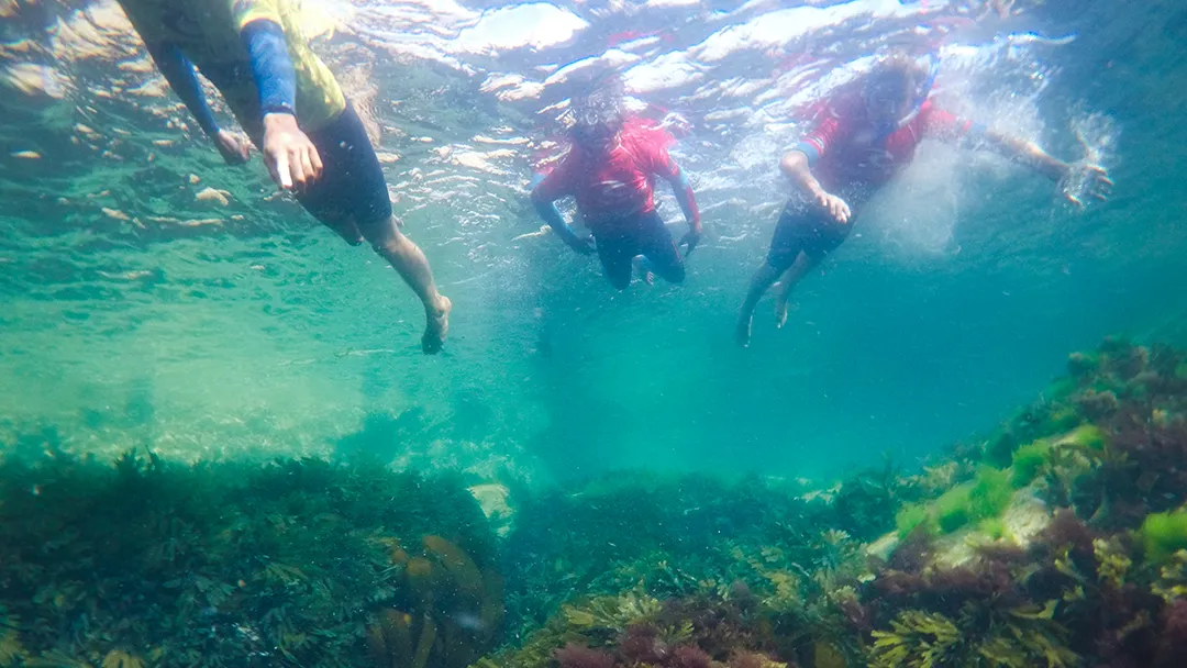 Paddleboard & Snorkel Adventure in Newquay Cornwall