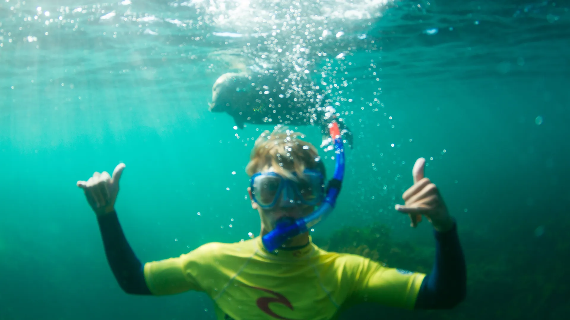 Paddleboard & Snorkel Adventure in Newquay Cornwall