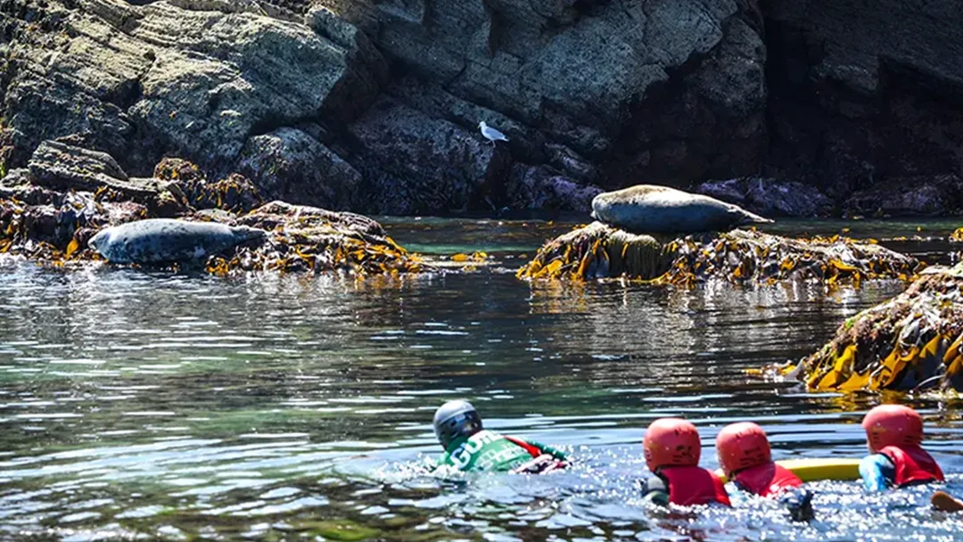 Schools Coasteering in Newquay, Cornwall