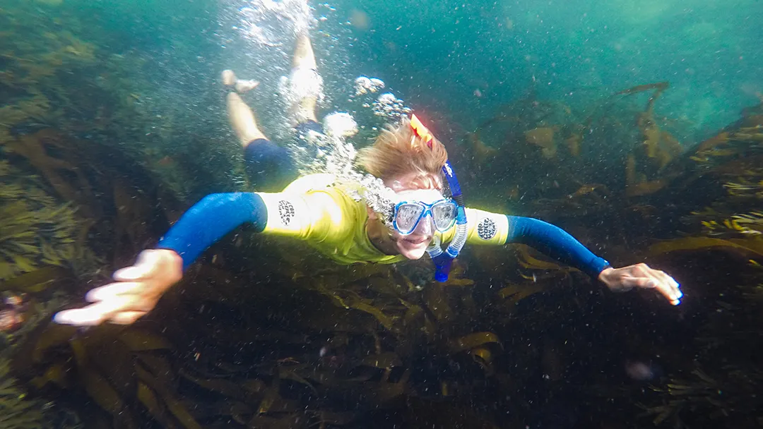 Snorkel Kayak Tour in Newquay, Cornwall