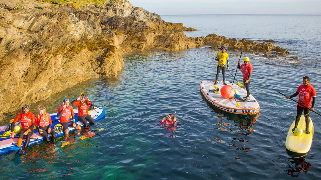 Snorkel Super SUP Safari in Newquay, Cornwall